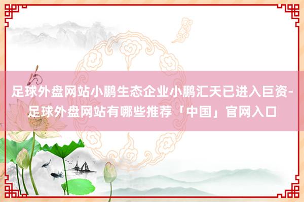 足球外盘网站小鹏生态企业小鹏汇天已进入巨资-足球外盘网站有哪些推荐「中国」官网入口