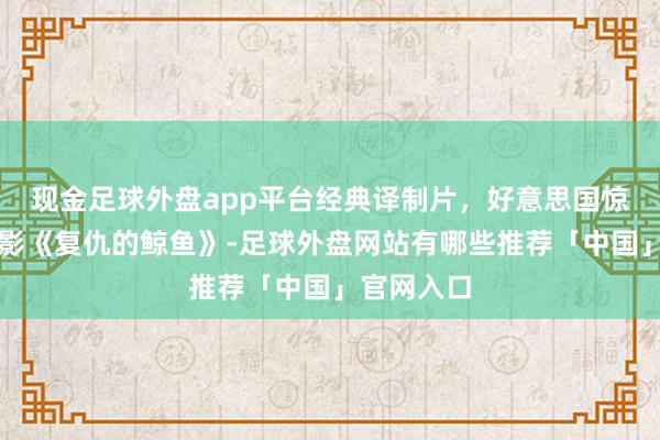 现金足球外盘app平台经典译制片，好意思国惊悚剧情电影《复仇的鲸鱼》-足球外盘网站有哪些推荐「中国」官网入口