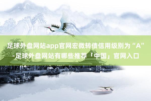 足球外盘网站app官网宏微转债信用级别为“A”-足球外盘网站有哪些推荐「中国」官网入口