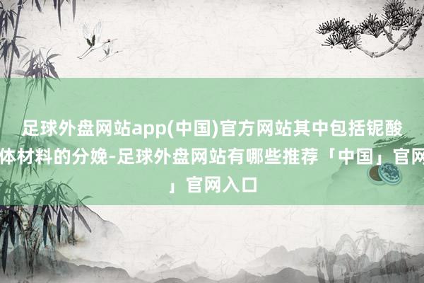 足球外盘网站app(中国)官方网站其中包括铌酸锂晶体材料的分娩-足球外盘网站有哪些推荐「中国」官网入口
