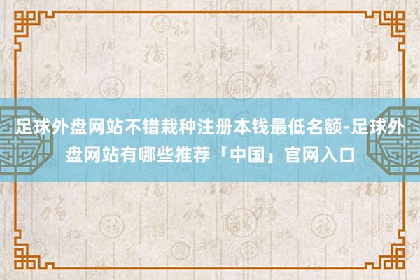 足球外盘网站不错栽种注册本钱最低名额-足球外盘网站有哪些推荐「中国」官网入口