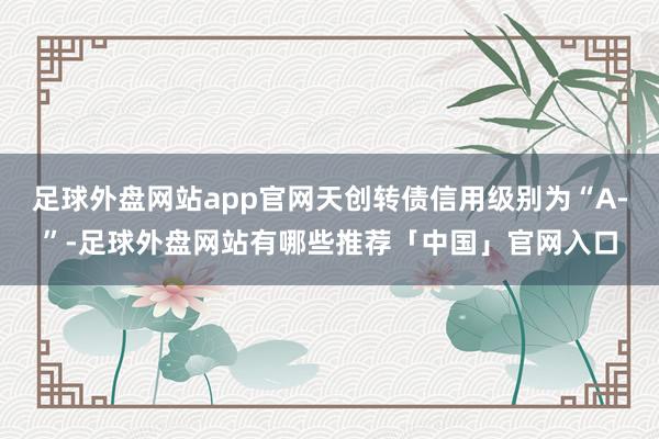 足球外盘网站app官网天创转债信用级别为“A-”-足球外盘网站有哪些推荐「中国」官网入口